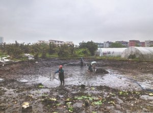 盘山河道鱼塘清淤